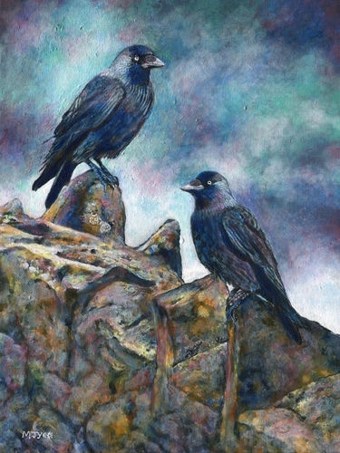 Jackdaw bird art painting for sale