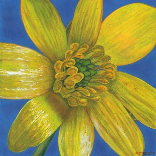 botanical celendine flower painting for sale