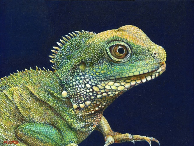 chinese water dragon lizard - reptile art painting