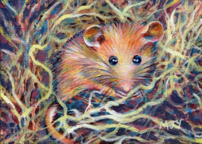 cute animal dormouse painting for sale