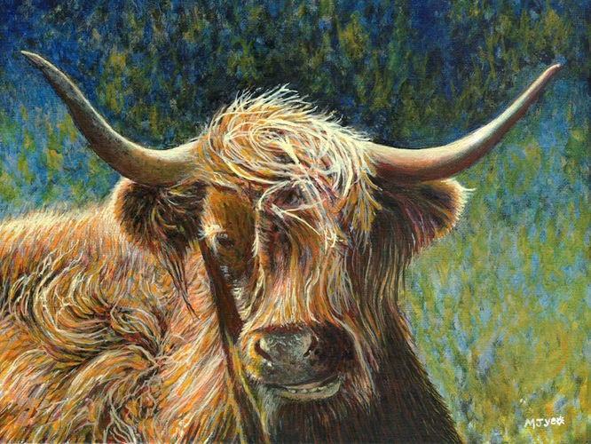 highland cow, kilchoan, scotland art painting for sale