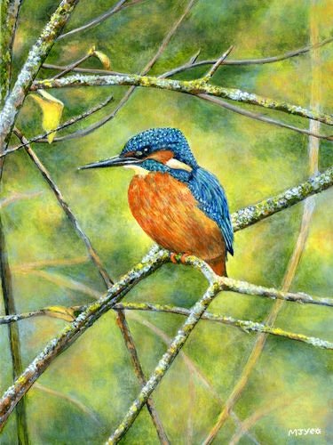 Kingfisher bird art painting for sale