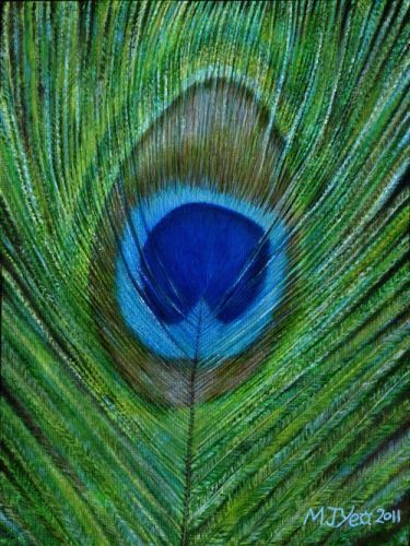 nature peacock feather painting for sale