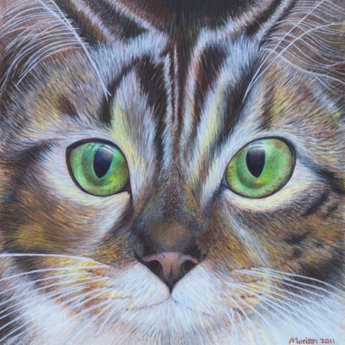 pet portrait cat face painting commissions for sale