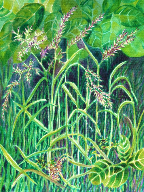 botanical grass nature painting