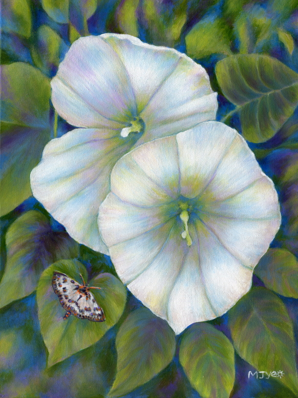 Georgia O'Keeffe style convulvulus botanical painting for sale