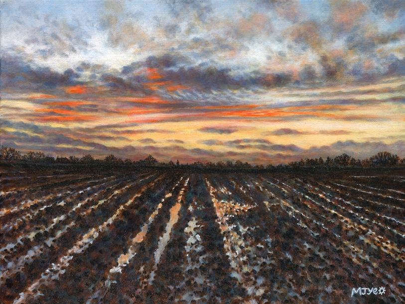 Sunset painting for sale. Ploughed field, Grafton Flyford.