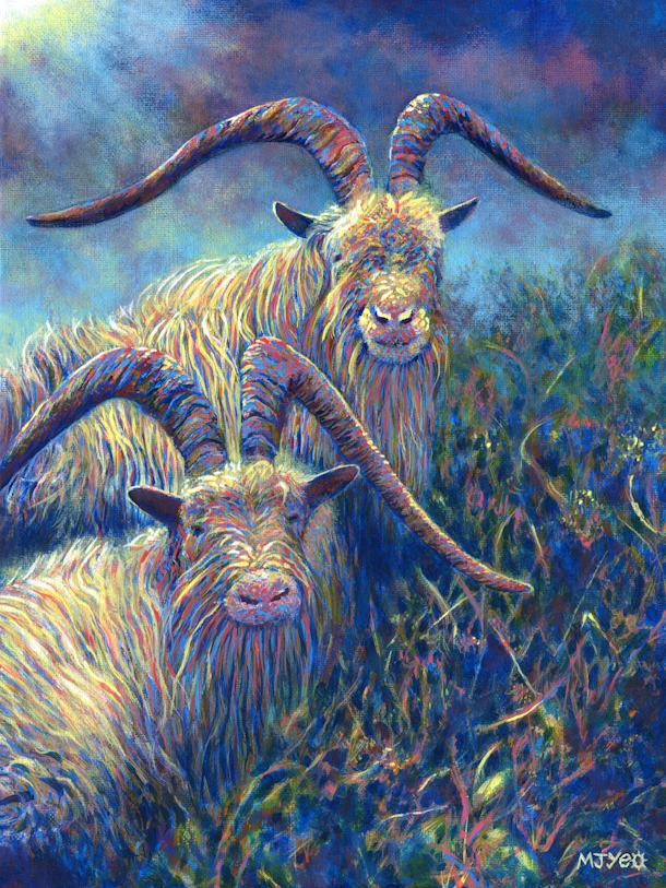 welsh mountain goats painting for sale