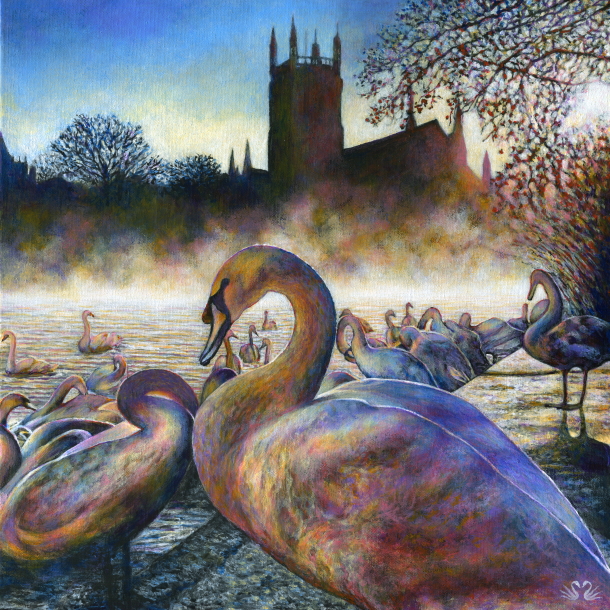 Worcester swans and cathedral painting for sale